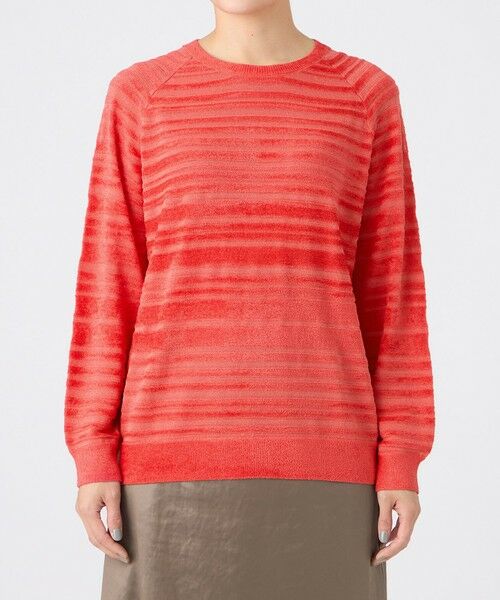 EVEX by KRIZIA  (大きいサイズ) / エヴェックス バイ クリツィア (オオキイサイズ) その他トップス | 【L】【カタログ掲載】【ウォッシャブル】モールボーダーニットプルオーバー | 詳細6