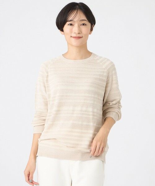 EVEX by KRIZIA  (大きいサイズ) / エヴェックス バイ クリツィア (オオキイサイズ) その他トップス | 【L】【カタログ掲載】【ウォッシャブル】モールボーダーニットプルオーバー | 詳細1