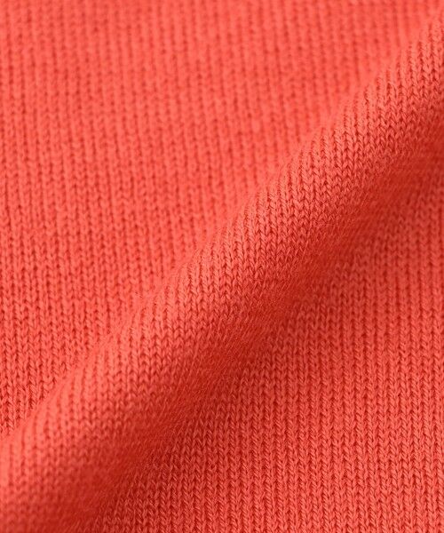 EVEX by KRIZIA  (大きいサイズ) / エヴェックス バイ クリツィア (オオキイサイズ) その他トップス | 【L】【カタログ掲載】【ウォッシャブル】ダブルタートルネックニットプルオーバー | 詳細12