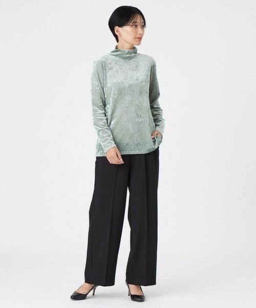 EVEX by KRIZIA  (大きいサイズ) / エヴェックス バイ クリツィア (オオキイサイズ) その他トップス | 【L】【マシンウォッシャブル】メッシュベロアハイネックプルオーバー | 詳細1