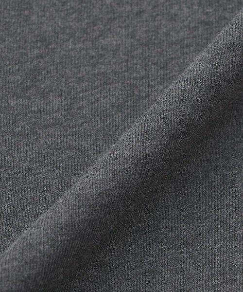 EVEX by KRIZIA  (大きいサイズ) / エヴェックス バイ クリツィア (オオキイサイズ) その他トップス | 【L】【カタログ掲載】【ウォッシャブル】タイガーパッチ裏起毛スウェット | 詳細10