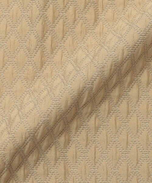 EVEX by KRIZIA  (大きいサイズ) / エヴェックス バイ クリツィア (オオキイサイズ) ロング・マキシ丈スカート | 【L】【カタログ掲載】【ウォッシャブル】ダイヤジャカードシャーリングスカート | 詳細7