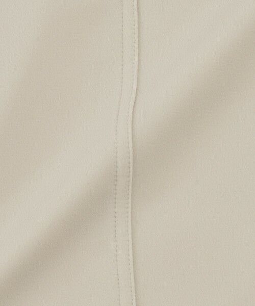 EVEX by KRIZIA (大きいサイズ) / エヴェックス バイ クリツィア (オオキイサイズ) その他パンツ | 【L】【ウォッシャブル】裏起毛ハイテンションクロップドパンツ | 詳細13