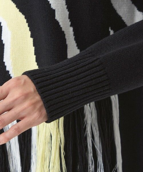 EVEX by KRIZIA  (大きいサイズ) / エヴェックス バイ クリツィア (オオキイサイズ) その他トップス | 【L】【ウォッシャブル】ウェーブゼブラインターシャニットプルオーバー | 詳細5