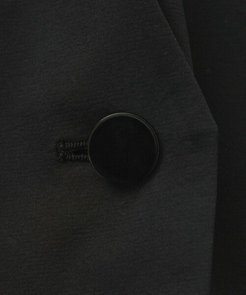 EVEX by KRIZIA  (大きいサイズ) / エヴェックス バイ クリツィア (オオキイサイズ) ベスト | 【L】【マシンウォッシャブル】テックスブリッドVネックジレ | 詳細6