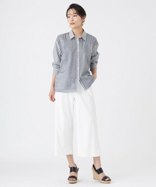 EVEX by KRIZIA  (大きいサイズ) / エヴェックス バイ クリツィア (オオキイサイズ) その他トップス | 【L】【カタログ掲載・ウォッシャブル】レイヤードストライプシャツ | 詳細1