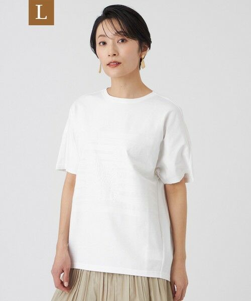 EVEX by KRIZIA  (大きいサイズ) / エヴェックス バイ クリツィア (オオキイサイズ) その他トップス | 【L】【カタログ掲載・ウォッシャブル】クリアゼブラプリントカットソー（オフホワイト）