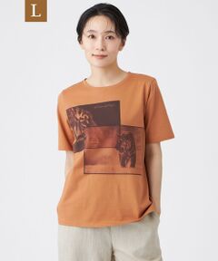 EVEX by KRIZIA  (大きいサイズ) / エヴェックス バイ クリツィア (オオキイサイズ) その他トップス | 【L】【接触冷感・ウォッシャブル】フォトプリントカットソー