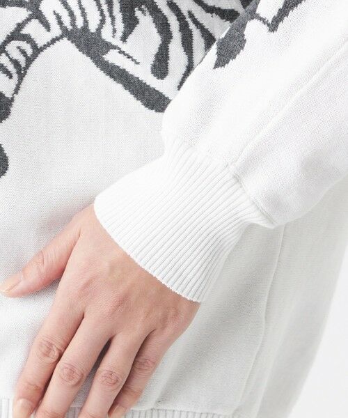 EVEX by KRIZIA  (大きいサイズ) / エヴェックス バイ クリツィア (オオキイサイズ) その他トップス | 【L】【ウォッシャブル】ゼブラインターシャドルマンスリーブニット | 詳細6