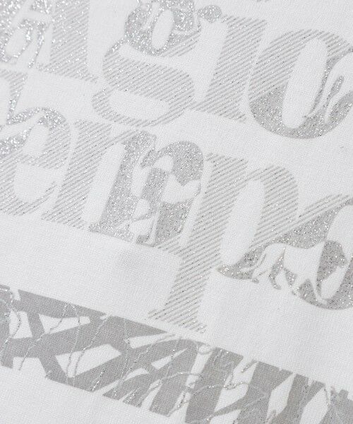 EVEX by KRIZIA  (大きいサイズ) / エヴェックス バイ クリツィア (オオキイサイズ) その他トップス | 【L】【接触冷感・ウォッシャブル】グリッターフレームプリントカットソー | 詳細6