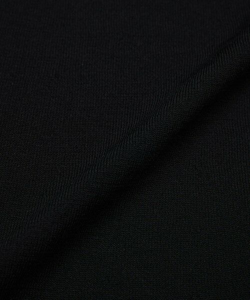 EVEX by KRIZIA  (大きいサイズ) / エヴェックス バイ クリツィア (オオキイサイズ) その他トップス | 【L】【ウォッシャブル】ルレックスエッジストレッチニットプルオーバー | 詳細9