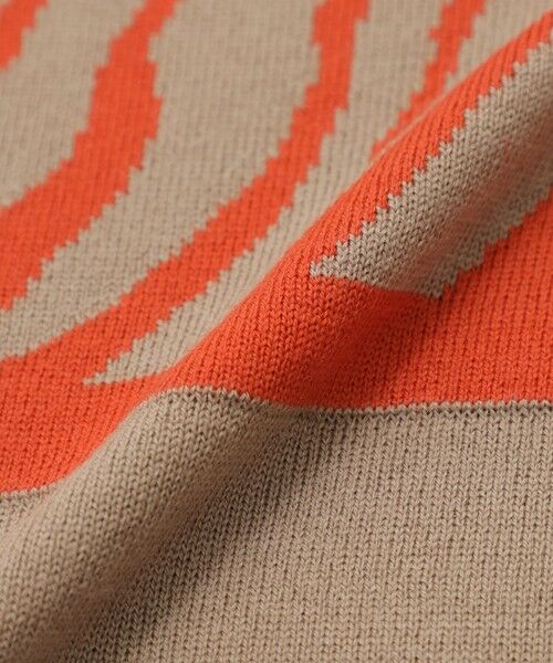 EVEX by KRIZIA / エヴェックス バイ クリツィア ニット・セーター | 【ウォッシャブル】*Wings掲載 ゼブラジャカードニット | 詳細9