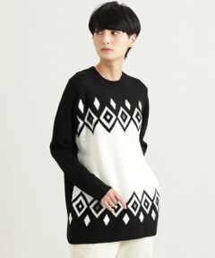 EVEX by KRIZIA / エヴェックス バイ クリツィア ニット・セーター | 【ウォッシャブル】ウィンタージオメトリックジャカードニット