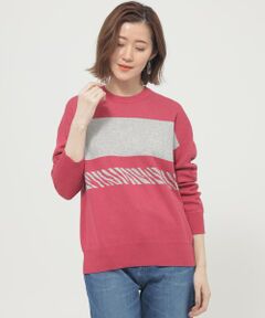 EVEX by KRIZIA / エヴェックス バイ クリツィア ニット・セーター | 【ウォッシャブル】ゼブラボーダープルオーバーニット