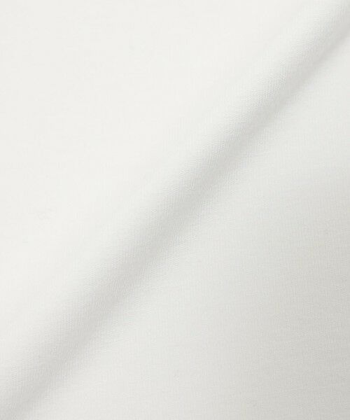 EVEX by KRIZIA / エヴェックス バイ クリツィア カットソー | 【ウォッシャブル】ベア天竺ハイネックカットソー | 詳細7