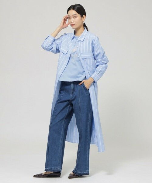 EVEX by KRIZIA / エヴェックス バイ クリツィア ロング・マキシ丈ワンピース | 【ウォッシャブル】ラメストライプシャツワンピース | 詳細1