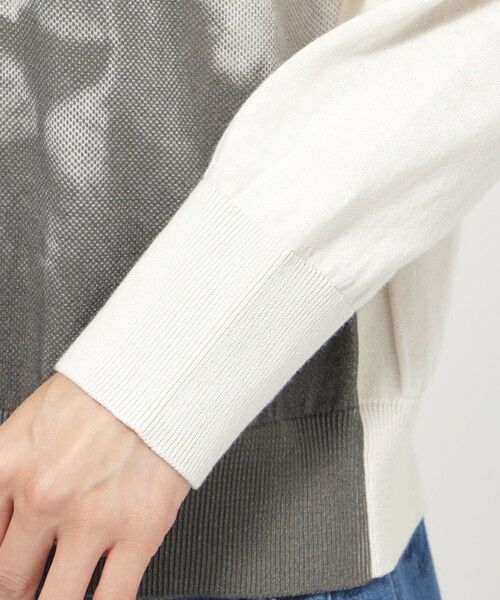 EVEX by KRIZIA / エヴェックス バイ クリツィア ニット・セーター | 【ウォッシャブル】ライオンプリントニットプルオーバー | 詳細5