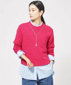 EVEX by KRIZIA / エヴェックス バイ クリツィア ニット・セーター | 【ウォッシャブル】ファンシーテープヤーンニットプルオーバー