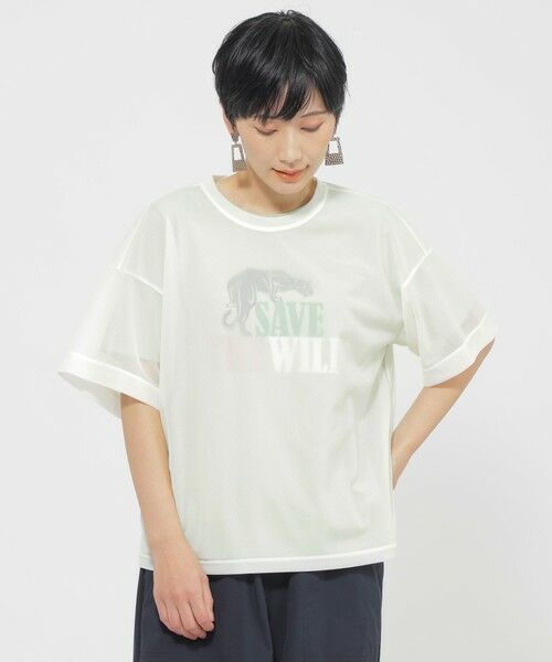 EVEX by KRIZIA/エヴェックス バイ クリツィア 【カタログ掲載品】【ウォッシャブル】ソフトシアーカットソー オフホワイト1 40 EVEX by KRIZIA/エヴェックス バイ クリツィア 【カタログ掲載品】【ウォッシャブル】ソフトシアーカットソー オフホワイト1 40