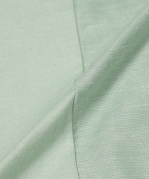 EVEX by KRIZIA / エヴェックス バイ クリツィア カットソー | 【カタログ掲載品】【ウォッシャブル】オパールタイガーコンビカットソー | 詳細10