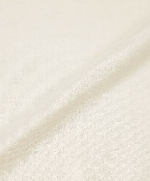 EVEX by KRIZIA / エヴェックス バイ クリツィア カットソー | 【SANYO Style EDITION掲載】【接触冷感】【ウォッシャブル】メタリックゼブラプリントカットソー | 詳細9