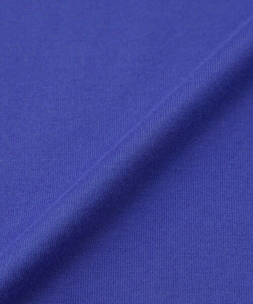 EVEX by KRIZIA / エヴェックス バイ クリツィア カットソー | 【接触冷感】【ウォシャブル】メタリックゼブラプリントチュニックカットソー | 詳細9