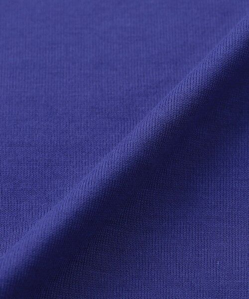 EVEX by KRIZIA / エヴェックス バイ クリツィア カットソー | 【接触冷感】【ウォッシャブル】ネックエンブロイダリーカットソー | 詳細11