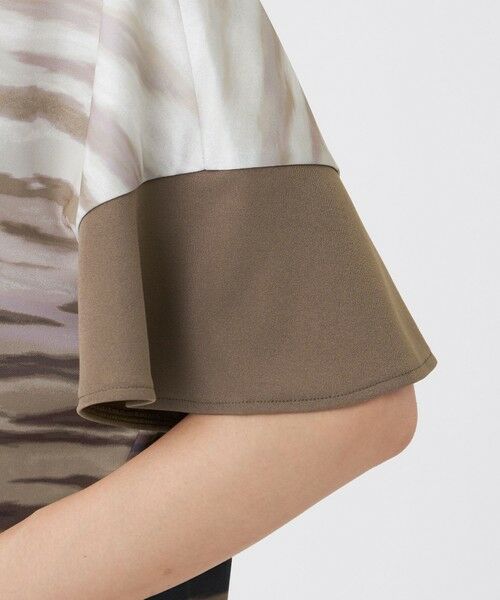 EVEX by KRIZIA / エヴェックス バイ クリツィア カットソー | 【接触冷感】【ウォッシャブル】グラデーションゼブラカットソー | 詳細6