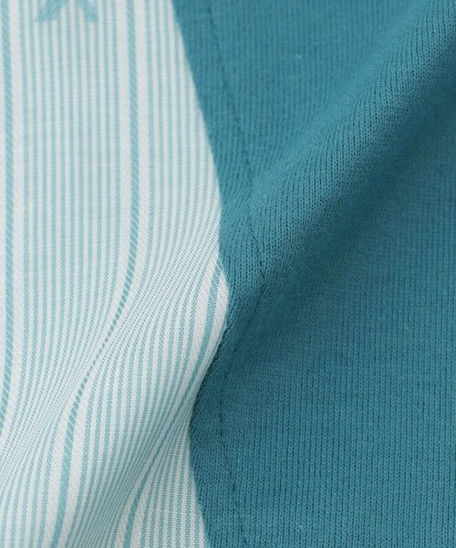 EVEX by KRIZIA / エヴェックス バイ クリツィア カットソー | 【マシンウォッシャブル】ストライプジャカードコンビカットソー | 詳細7