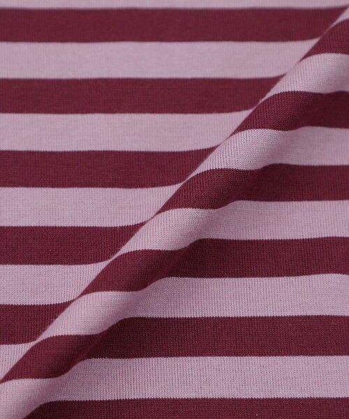 EVEX by KRIZIA / エヴェックス バイ クリツィア カットソー | 【接触冷感】【マシンウォッシャブル】エンブロイダリーボーダーカットソー | 詳細10