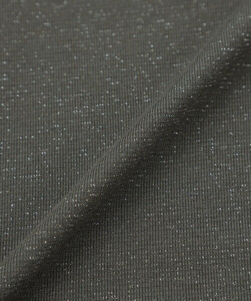 EVEX by KRIZIA / エヴェックス バイ クリツィア カットソー | 【ウォッシャブル】シアーラメジャージーハイネックカットソー | 詳細7