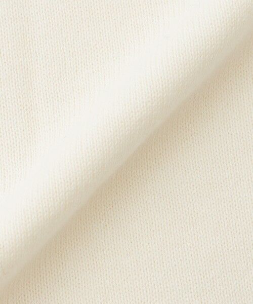 EVEX by KRIZIA / エヴェックス バイ クリツィア ニット・セーター | 【カタログ掲載品】【ウォッシャブル】ラメパンサーインターシャニット | 詳細6