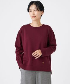 EVEX by KRIZIA / エヴェックス バイ クリツィア ニット・セーター | 【100回洗える】【カタログ掲載】テックスブリッドニットプルオーバー