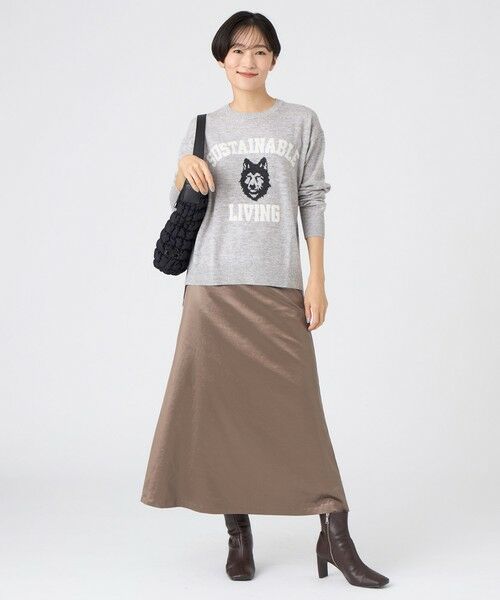 EVEX by KRIZIA / エヴェックス バイ クリツィア ニット・セーター | 【SANYO Style EDITION掲載】【ウォッシャブル】ウルフカレッジロゴニットプルオーバー | 詳細3