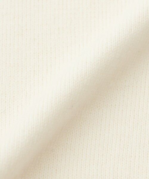 EVEX by KRIZIA / エヴェックス バイ クリツィア ニット・セーター | 【SANYO Style EDITION掲載】【ウォッシャブル】ウルフカレッジロゴニットプルオーバー | 詳細10