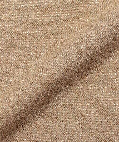 EVEX by KRIZIA / エヴェックス バイ クリツィア カットソー | 【ウォッシャブル】ゼブラモチーフラメスウェットプルオーバー | 詳細7