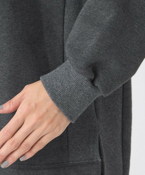 EVEX by KRIZIA / エヴェックス バイ クリツィア カットソー | 【カタログ掲載】【ウォッシャブル】タイガーパッチ裏起毛スウェット | 詳細7