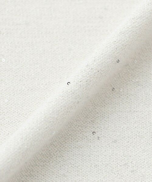 EVEX by KRIZIA / エヴェックス バイ クリツィア ニット・セーター | 【SANYO Style EDITION掲載】【ウォッシャブル】ミニスパンコールニットプルオーバー | 詳細9