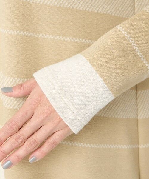 EVEX by KRIZIA / エヴェックス バイ クリツィア カットソー | 【ウォッシャブル】ウールジャカードジャージーボーダーカットソー | 詳細8