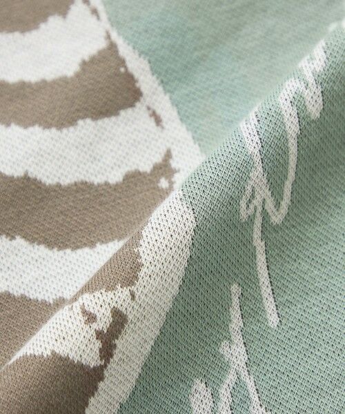 EVEX by KRIZIA / エヴェックス バイ クリツィア カットソー | 【ウォッシャブル】ツインゼブラジャカードカットソー | 詳細8