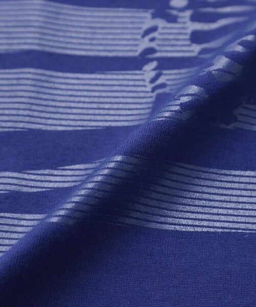 EVEX by KRIZIA / エヴェックス バイ クリツィア カットソー | 【カタログ掲載・ウォッシャブル】クリアゼブラプリントカットソー | 詳細12