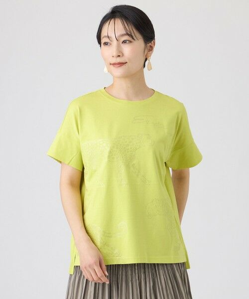 EVEX by KRIZIA / エヴェックス バイ クリツィア カットソー | 【カタログ掲載・ウォッシャブル】クリアチータープリントカットソー（イエロー1）