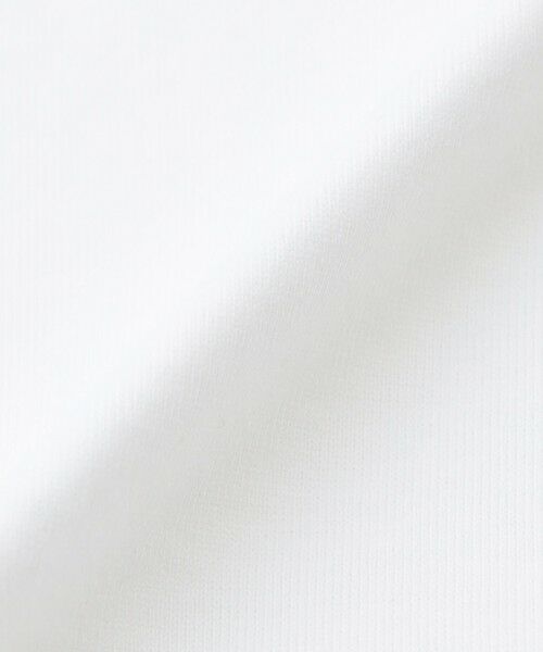 EVEX by KRIZIA / エヴェックス バイ クリツィア カットソー | 【接触冷感・ウォッシャブル】フォトプリントカットソー | 詳細13