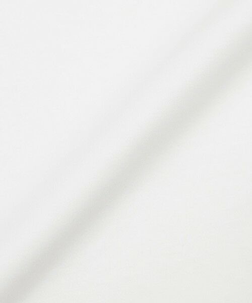 EVEX by KRIZIA / エヴェックス バイ クリツィア カットソー | 【EDDITION掲載】【接触冷感・ウォッシャブル】ギャザリングアニマルエンブロイダリーカットソー | 詳細9