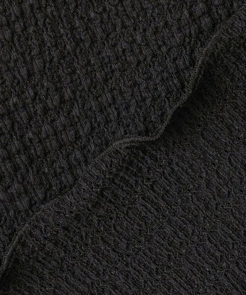 Feroux / フェルゥ カットソー | 【洗える】レーシージャガード カットソー | 詳細9