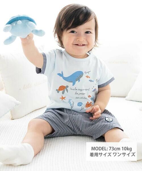 fillot de bebe reduction / フィヨ デュ ベベ ルダクティオン ベビー・キッズウエア | 【お揃い】リップルストライプショートパンツベビー(60~90cm) | 詳細1