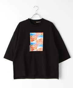 FRAPBOIS / フラボア Tシャツ | ミスティーT