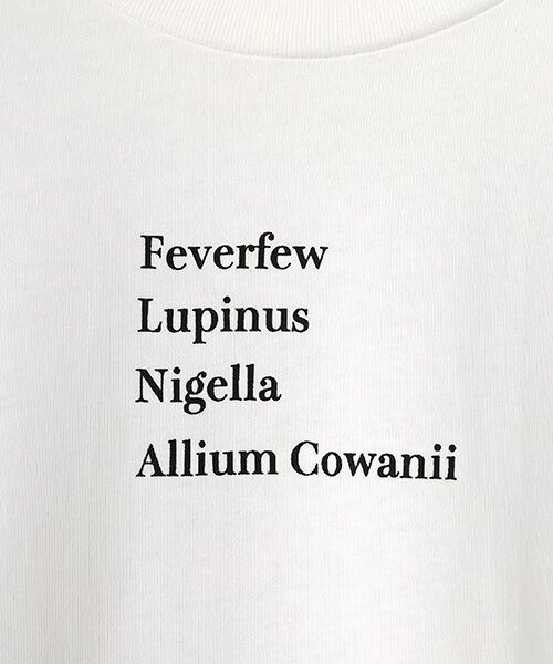 FRAPBOIS / フラボア Tシャツ | チェッフラT | 詳細2