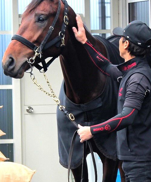 fumiyasports / フミヤスポーツ その他インナー・ルームウェア | Unisex アームカバー（ソフトタイプ生地） | 詳細8