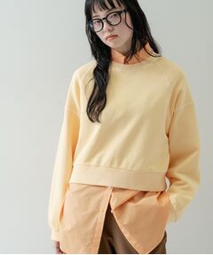 GALLEST / ギャレスト スウェット | ワイドスリーブカラースウェット